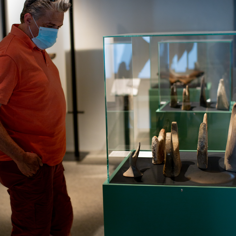 Vernissage Mondhörner. Vergrösserte Ansicht