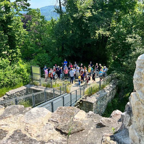 Ruine Pfeffingen.jpg. Vergrösserte Ansicht