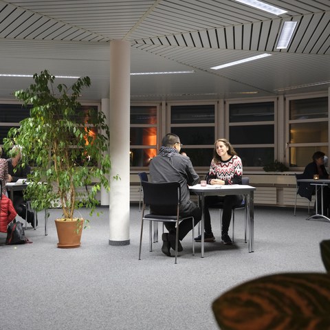 DSF1044.jpg. Vergrösserte Ansicht