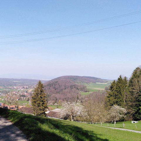 Vom Schlossfelsen in Burg im Leimental bietet sich ein weiter Ausblick nach Norden in den Sundgau.jpg. Vergrösserte Ansicht