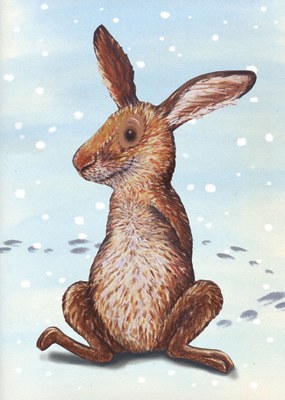 Illustration: Kathrin Schärer