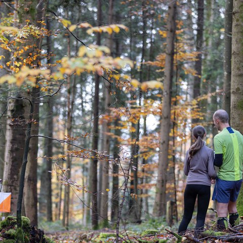 Team-OL_im Wald 4.jpg. Vergrösserte Ansicht