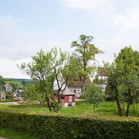  AEJ0098. Vergrösserte Ansicht