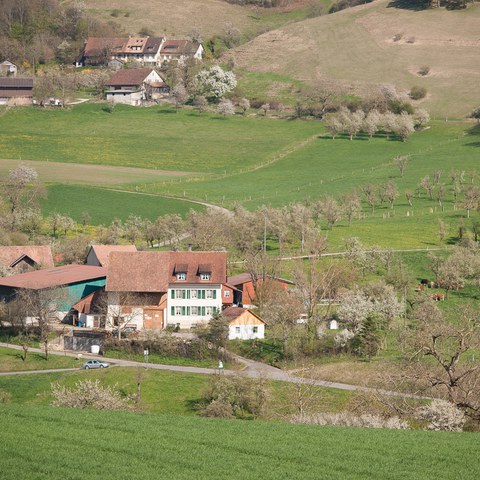  AEJ8437. Vergrösserte Ansicht