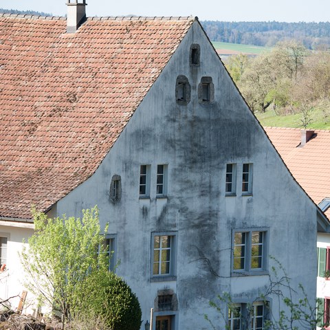 AEJ8488. Vergrösserte Ansicht