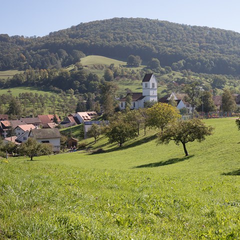  D4 0279. Vergrösserte Ansicht