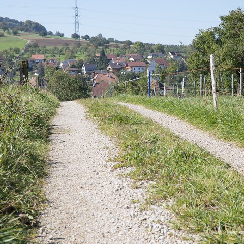  D4 0202. Vergrösserte Ansicht