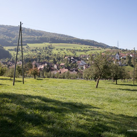  D4 0217. Vergrösserte Ansicht