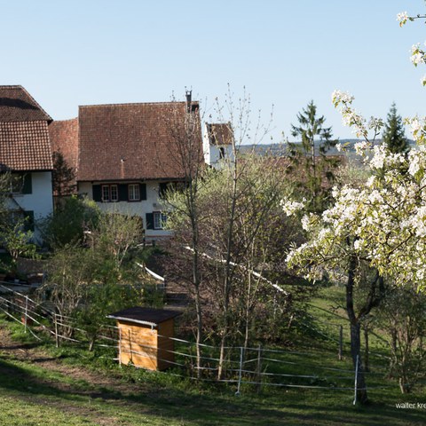 L1150855. Vergrösserte Ansicht