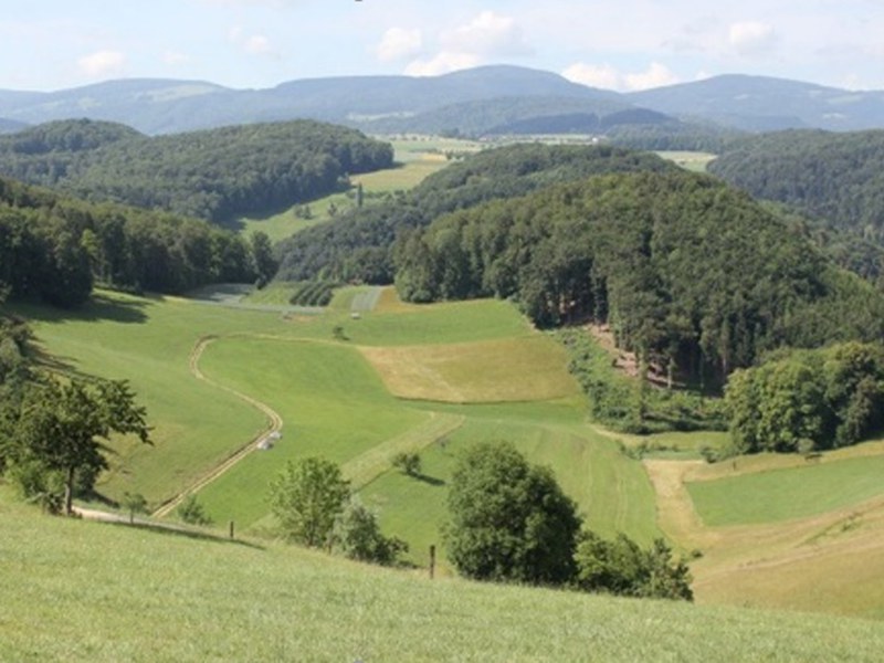 Landschaft mit Grundstücken
