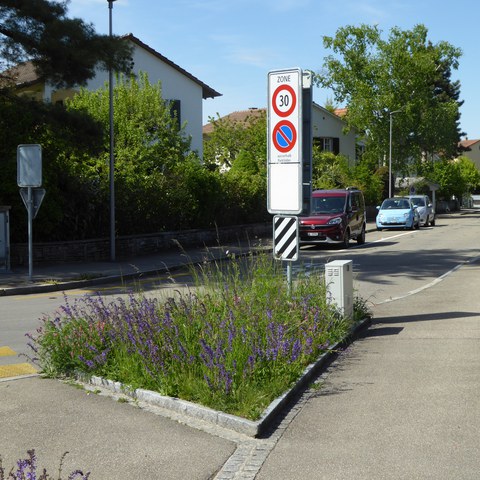 ebenrain_03_natur_im_siedlungsraum.JPG. Vergrösserte Ansicht